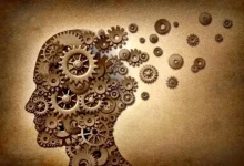 D981D984D8B3D981D987D986D8B3D984D8B2D8AF